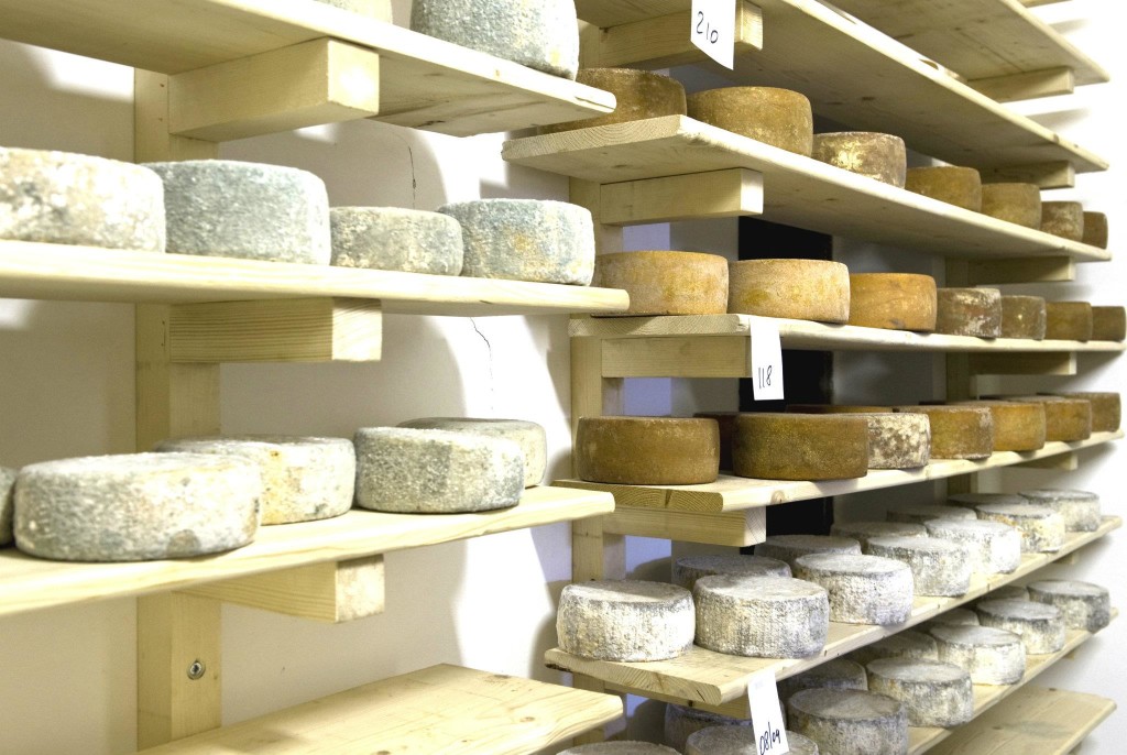I formaggi del caseificio Marovelli, in Garfagnana da tre generazioni